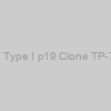 Anti-HTLV Type I p19 Clone TP-7 (100 µg)